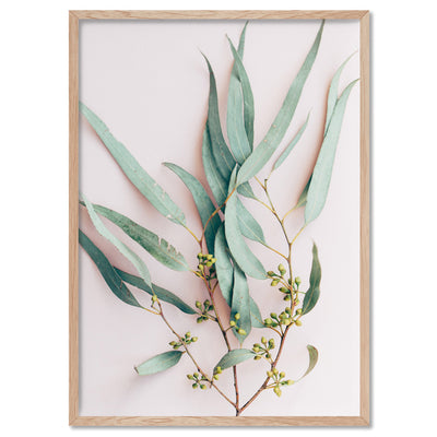 Australian Gumtree Leaves on Pink - Art Print, Poster, Stretched Canvas, or Framed Wall Art Print, shown in a natural timber frame