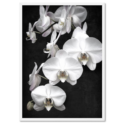 Orchid Blooms on Dark - Art Print, Poster, Stretched Canvas, or Framed Wall Art Print, shown in a white frame