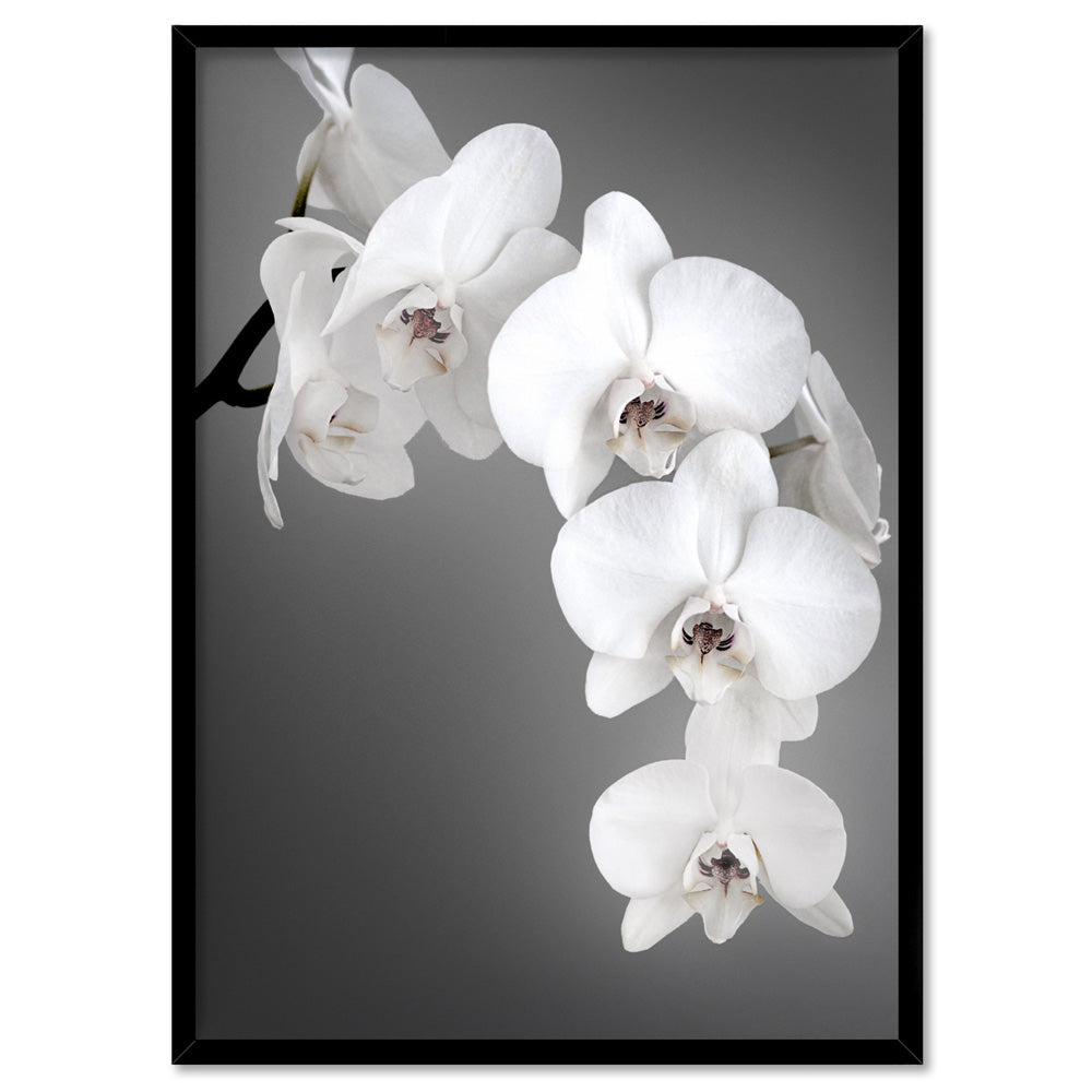 Orchid Blooms on Grey - Art Print, Poster, Stretched Canvas, or Framed Wall Art Print, shown in a black frame