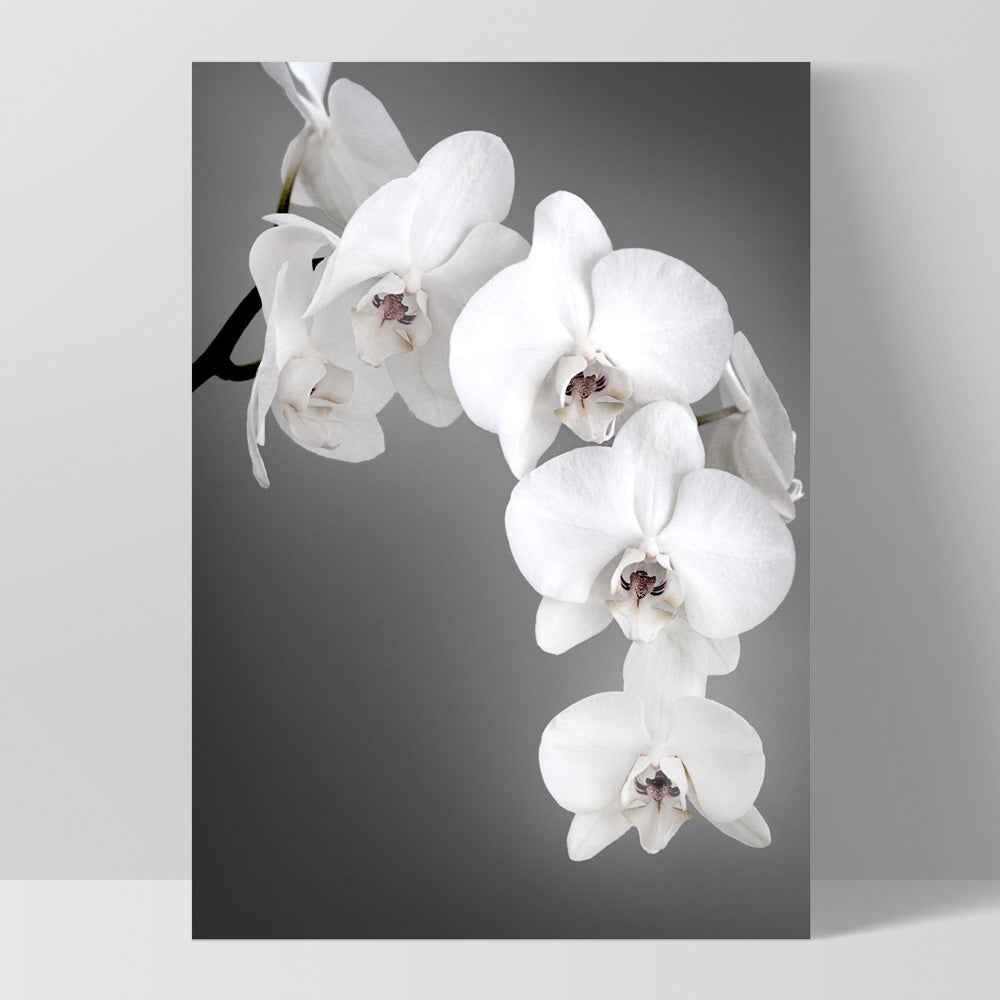Orchid Blooms on Grey - Art Print, Poster, Stretched Canvas, or Framed Wall Art Print, shown as a stretched canvas or poster without a frame