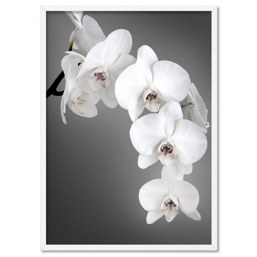Orchid Blooms on Grey - Art Print, Poster, Stretched Canvas, or Framed Wall Art Print, shown in a white frame