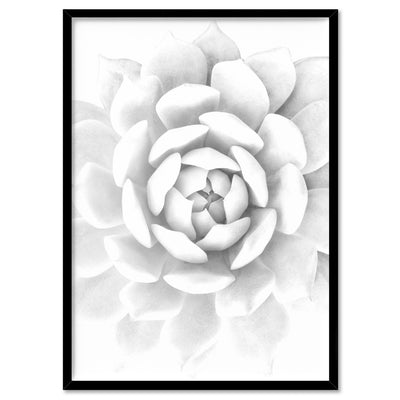 White Succulent - Art Print, Poster, Stretched Canvas, or Framed Wall Art Print, shown in a black frame