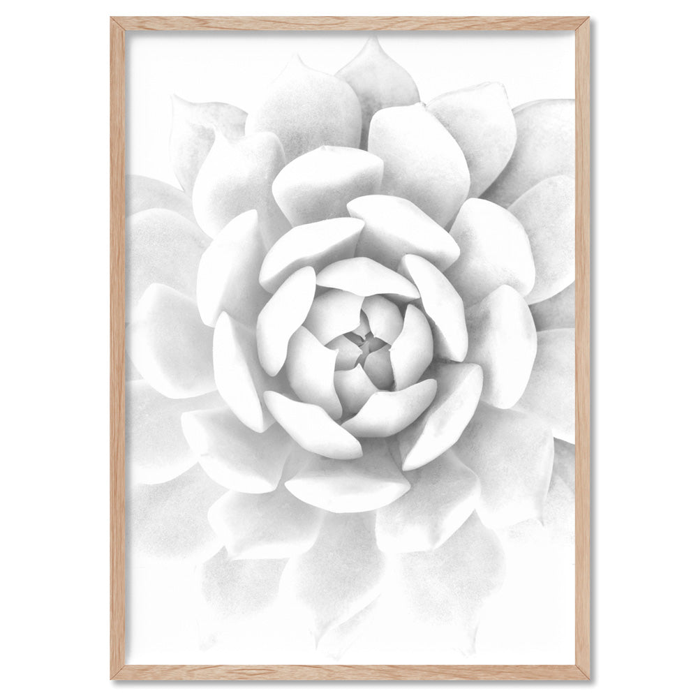White Succulent - Art Print, Poster, Stretched Canvas, or Framed Wall Art Print, shown in a natural timber frame
