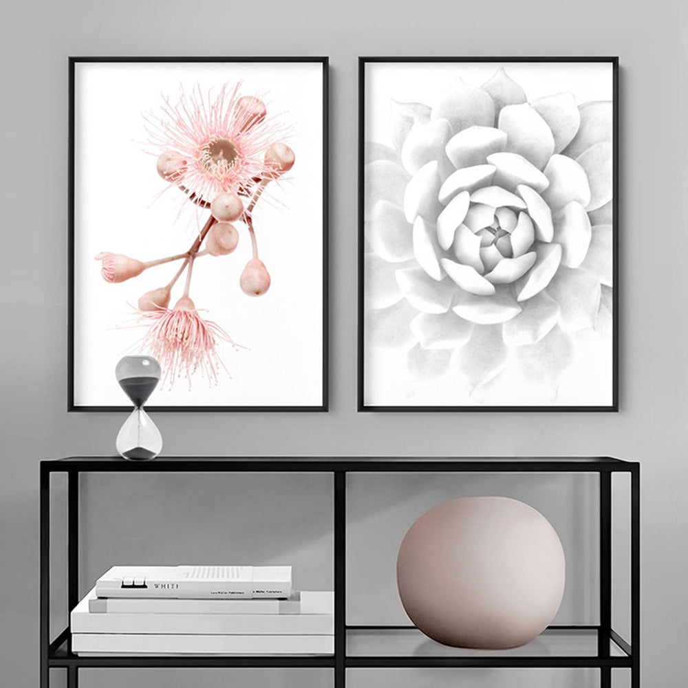 White Succulent - Art Print, Poster, Stretched Canvas or Framed Wall Art, shown framed in a home interior space