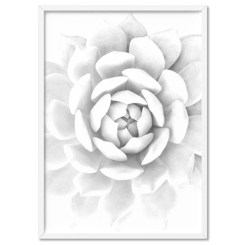 White Succulent - Art Print, Poster, Stretched Canvas, or Framed Wall Art Print, shown in a white frame