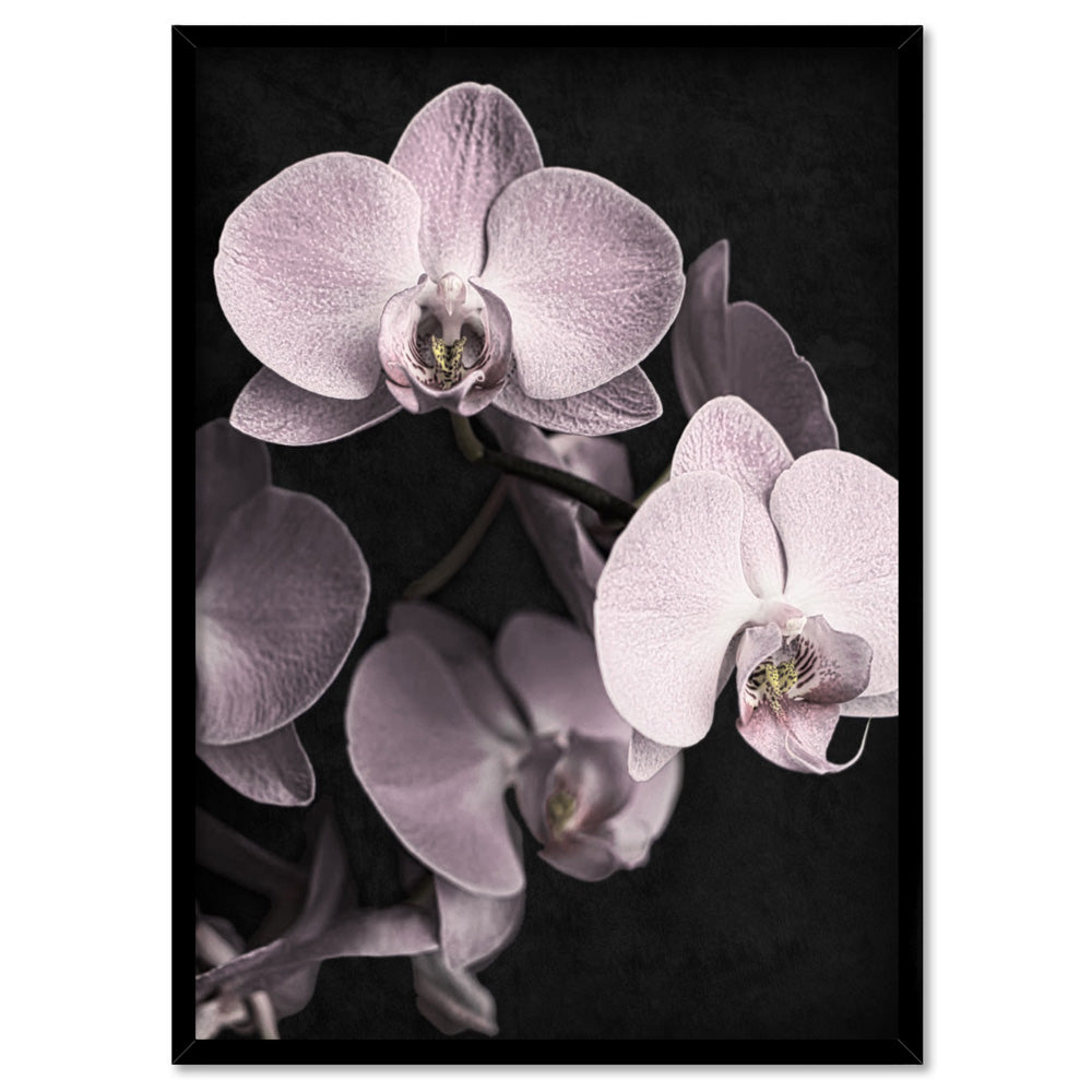 Blushing Orchids on Dark- Art Print, Poster, Stretched Canvas, or Framed Wall Art Print, shown in a black frame