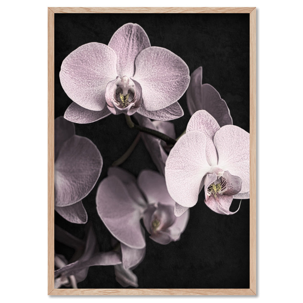 Blushing Orchids on Dark- Art Print, Poster, Stretched Canvas, or Framed Wall Art Print, shown in a natural timber frame