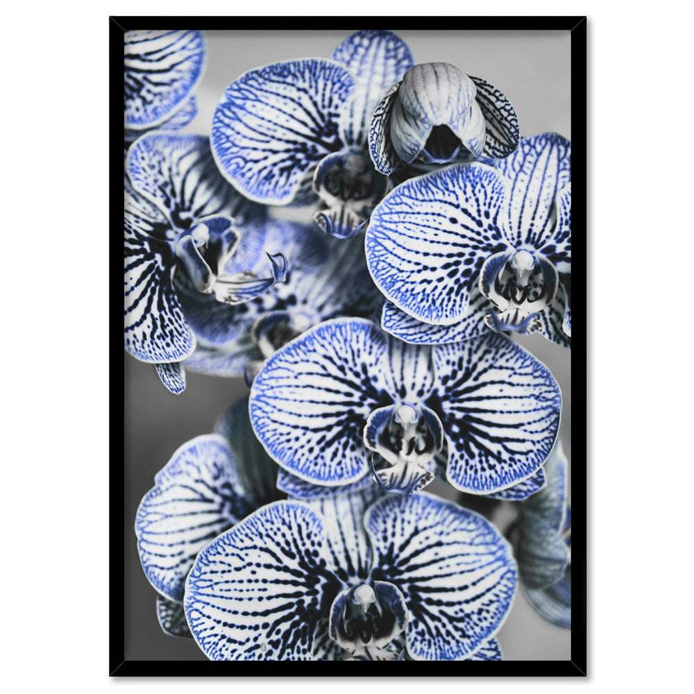 Blue Vein Orchids - Art Print, Poster, Stretched Canvas, or Framed Wall Art Print, shown in a black frame