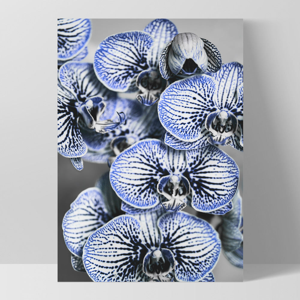 Blue Vein Orchids - Art Print, Poster, Stretched Canvas, or Framed Wall Art Print, shown as a stretched canvas or poster without a frame