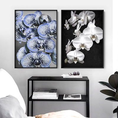 Blue Vein Orchids - Art Print, Poster, Stretched Canvas or Framed Wall Art, shown framed in a home interior space