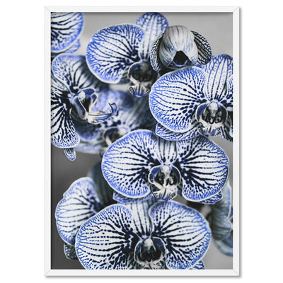 Blue Vein Orchids - Art Print, Poster, Stretched Canvas, or Framed Wall Art Print, shown in a white frame
