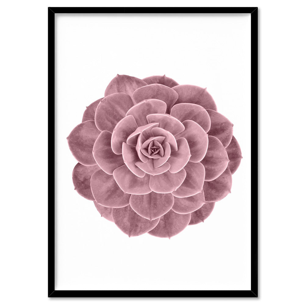 Blush Succulent II - Art Print, Poster, Stretched Canvas, or Framed Wall Art Print, shown in a black frame