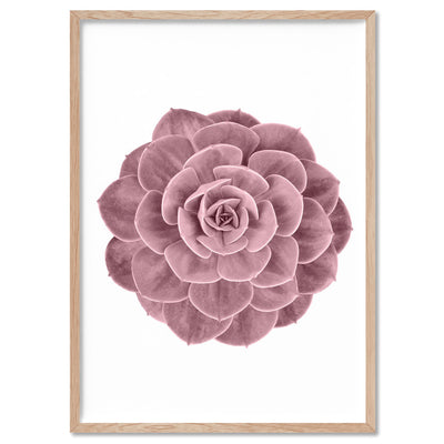 Blush Succulent II - Art Print, Poster, Stretched Canvas, or Framed Wall Art Print, shown in a natural timber frame