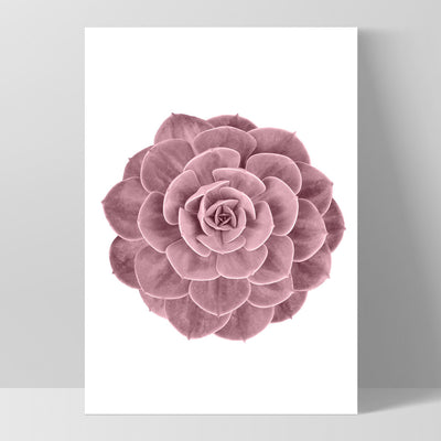 Blush Succulent II - Art Print, Poster, Stretched Canvas, or Framed Wall Art Print, shown as a stretched canvas or poster without a frame