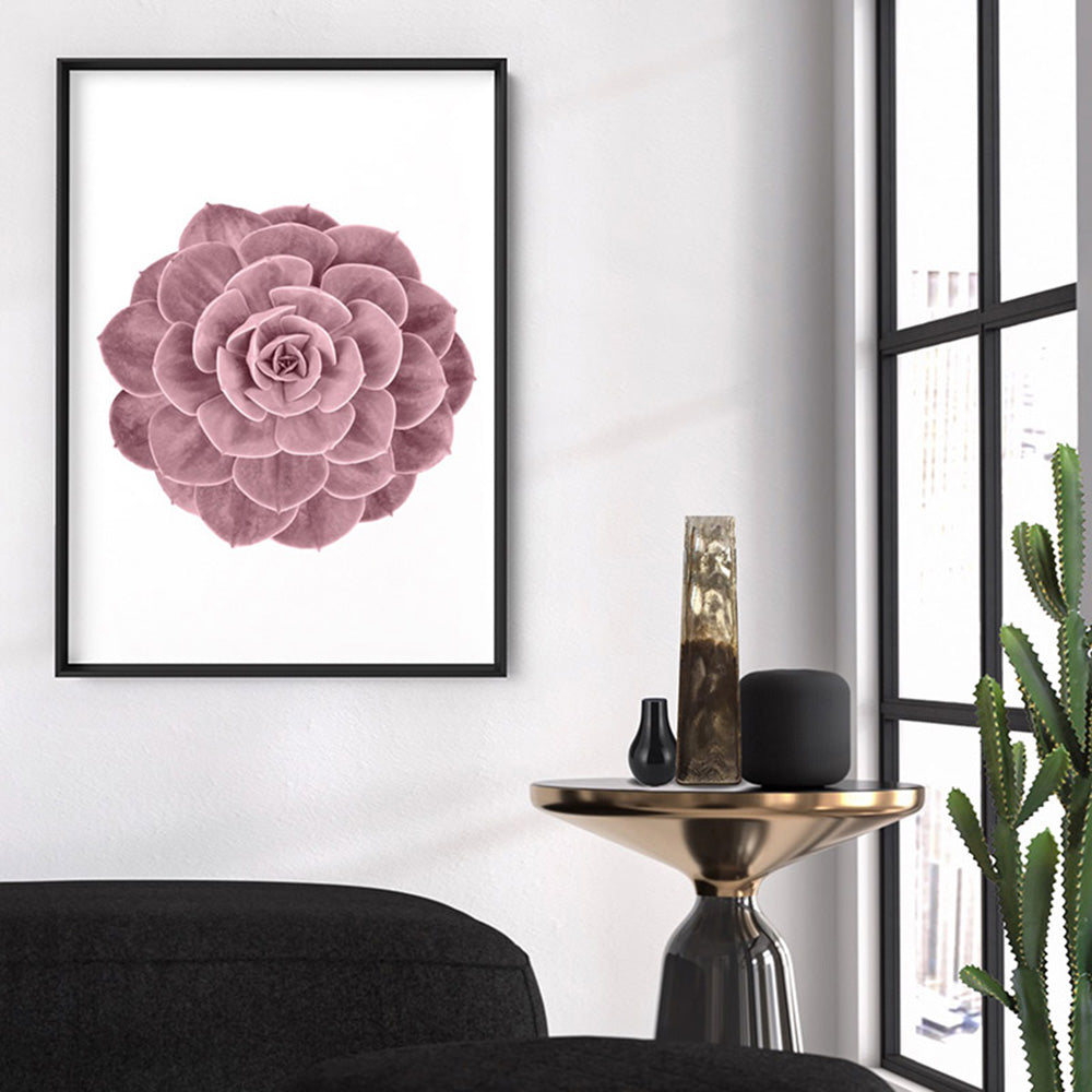 Blush Succulent II - Art Print, Poster, Stretched Canvas or Framed Wall Art Prints, shown framed in a room