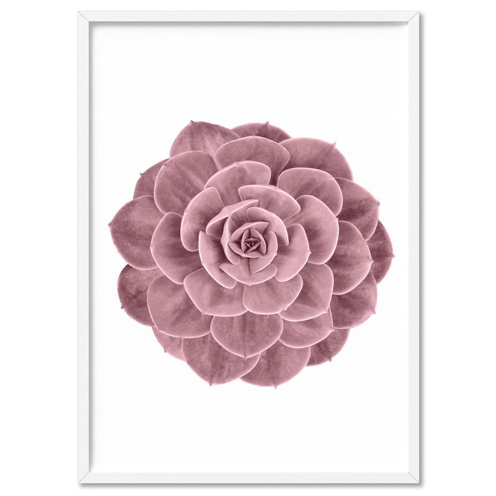 Blush Succulent II - Art Print, Poster, Stretched Canvas, or Framed Wall Art Print, shown in a white frame