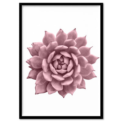 Blush Succulent I - Art Print, Poster, Stretched Canvas, or Framed Wall Art Print, shown in a black frame