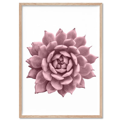 Blush Succulent I - Art Print, Poster, Stretched Canvas, or Framed Wall Art Print, shown in a natural timber frame