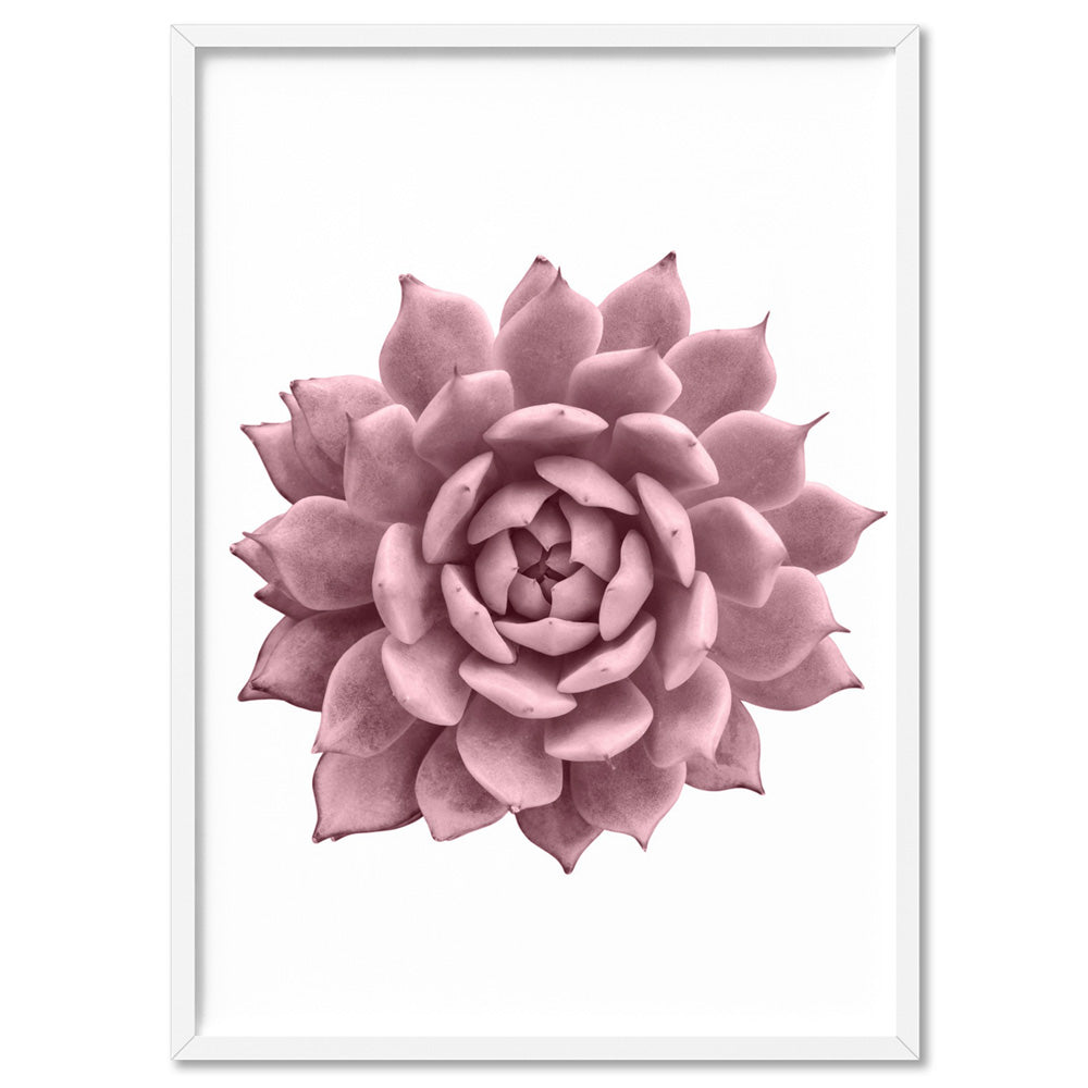 Blush Succulent I - Art Print, Poster, Stretched Canvas, or Framed Wall Art Print, shown in a white frame