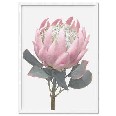 King Protea Vintage Portrait - Art Print, Poster, Stretched Canvas, or Framed Wall Art Print, shown in a white frame