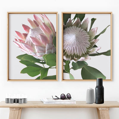King Protea Soft Blush - Art Print, Poster, Stretched Canvas or Framed Wall Art, shown framed in a home interior space