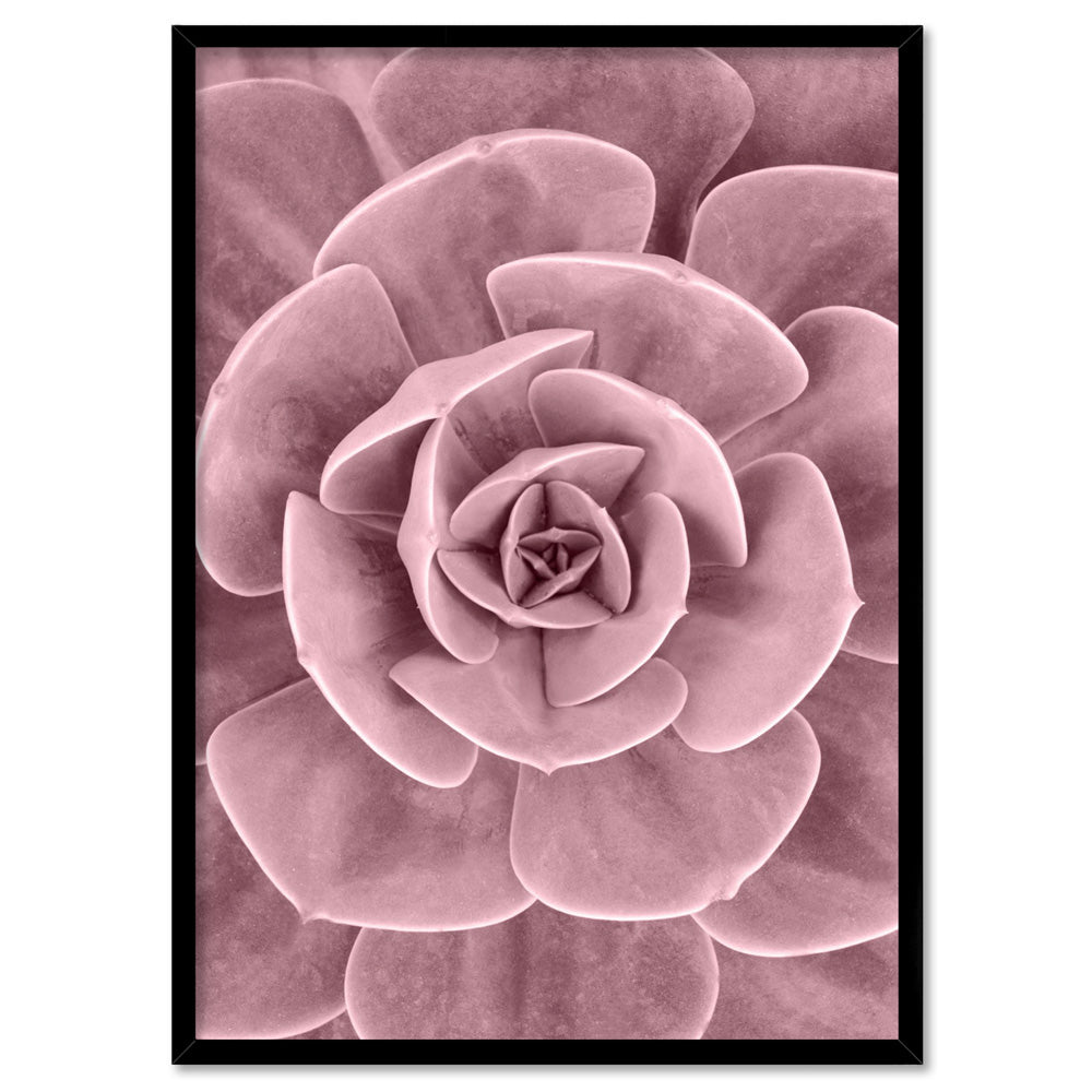 Blush Succulent III - Art Print, Poster, Stretched Canvas, or Framed Wall Art Print, shown in a black frame