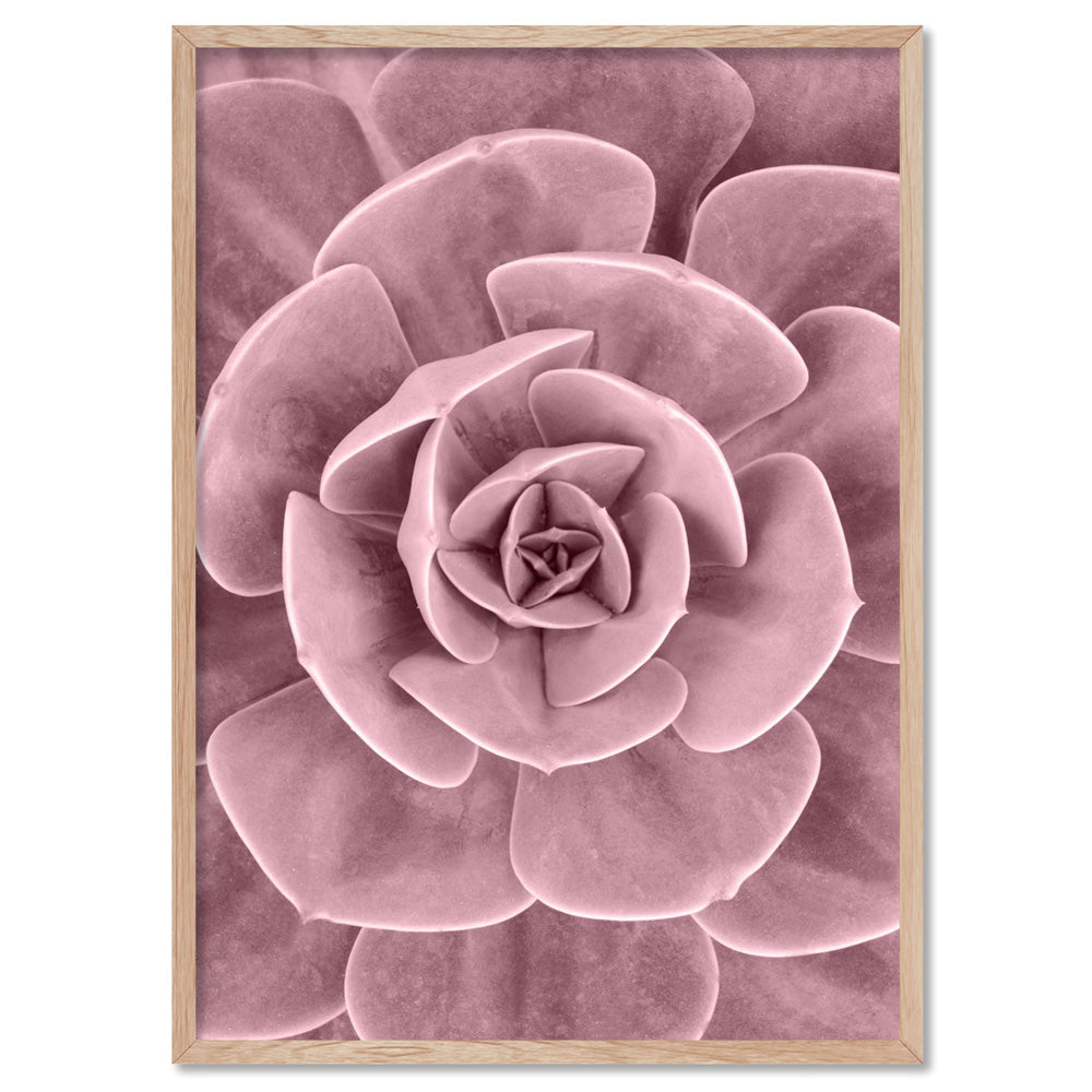 Blush Succulent III - Art Print, Poster, Stretched Canvas, or Framed Wall Art Print, shown in a natural timber frame