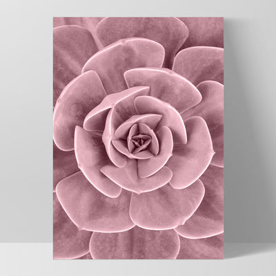 Blush Succulent III - Art Print, Poster, Stretched Canvas, or Framed Wall Art Print, shown as a stretched canvas or poster without a frame