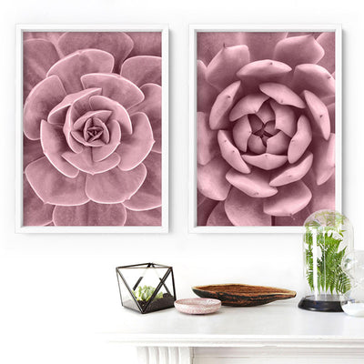 Blush Succulent III - Art Print, Poster, Stretched Canvas or Framed Wall Art, shown framed in a home interior space