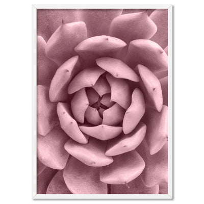 Blush Succulent IV - Art Print, Poster, Stretched Canvas, or Framed Wall Art Print, shown in a white frame