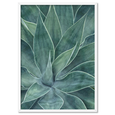 Agave Detail I - Art Print, Poster, Stretched Canvas, or Framed Wall Art Print, shown in a white frame