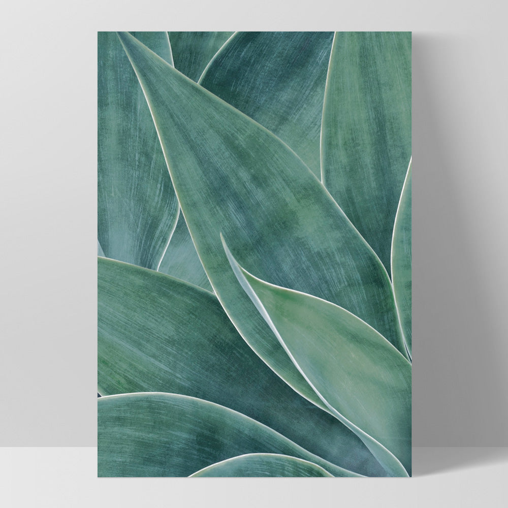 Agave Detail II - Art Print, Poster, Stretched Canvas, or Framed Wall Art Print, shown as a stretched canvas or poster without a frame
