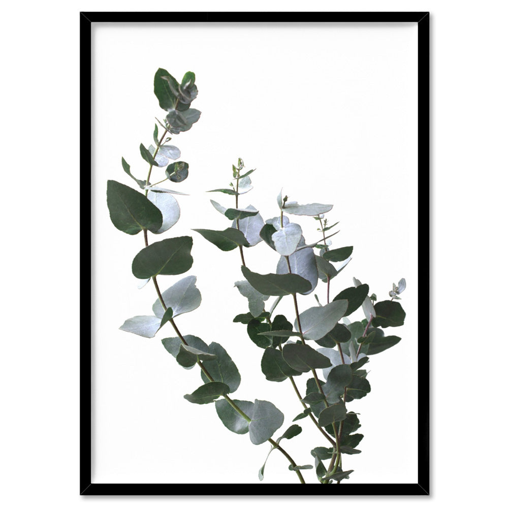 Eucalyptus Gum Leaves I  - Art Print, Poster, Stretched Canvas, or Framed Wall Art Print, shown in a black frame