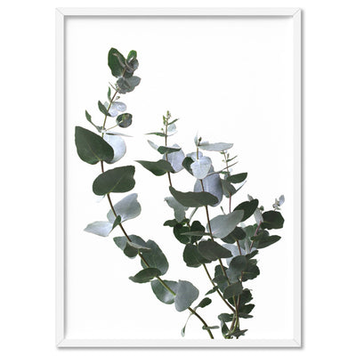 Eucalyptus Gum Leaves I  - Art Print, Poster, Stretched Canvas, or Framed Wall Art Print, shown in a white frame
