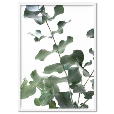 Eucalyptus Gum Leaves II  - Art Print, Poster, Stretched Canvas, or Framed Wall Art Print, shown in a white frame