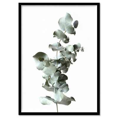 Eucalyptus Gum Leaves III  - Art Print, Poster, Stretched Canvas, or Framed Wall Art Print, shown in a black frame
