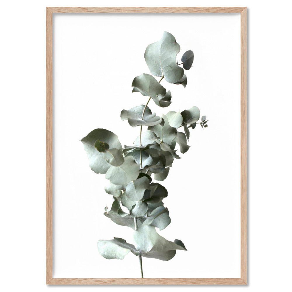 Eucalyptus Gum Leaves III  - Art Print, Poster, Stretched Canvas, or Framed Wall Art Print, shown in a natural timber frame