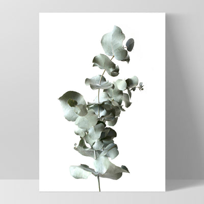 Eucalyptus Gum Leaves III  - Art Print, Poster, Stretched Canvas, or Framed Wall Art Print, shown as a stretched canvas or poster without a frame