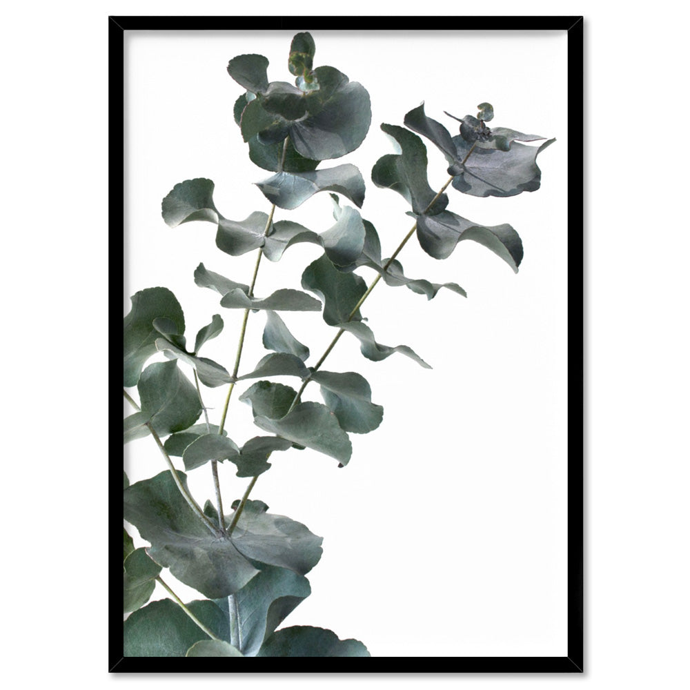 Eucalyptus Gum Leaves IV - Art Print, Poster, Stretched Canvas, or Framed Wall Art Print, shown in a black frame
