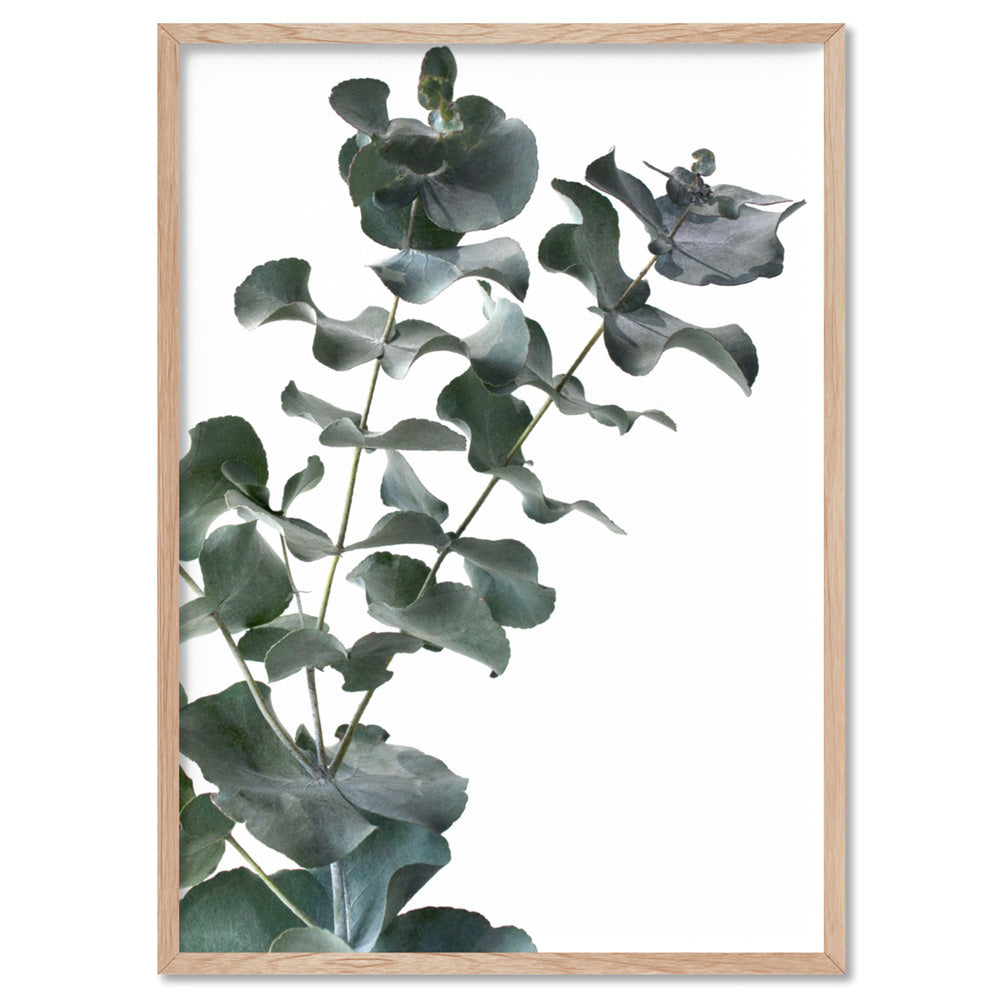Eucalyptus Gum Leaves IV - Art Print, Poster, Stretched Canvas, or Framed Wall Art Print, shown in a natural timber frame