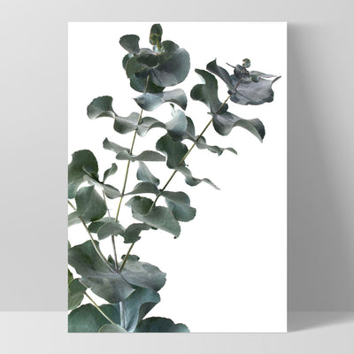 Eucalyptus Gum Leaves IV - Art Print, Poster, Stretched Canvas, or Framed Wall Art Print, shown as a stretched canvas or poster without a frame