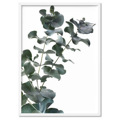 Eucalyptus Gum Leaves IV - Art Print, Poster, Stretched Canvas, or Framed Wall Art Print, shown in a white frame