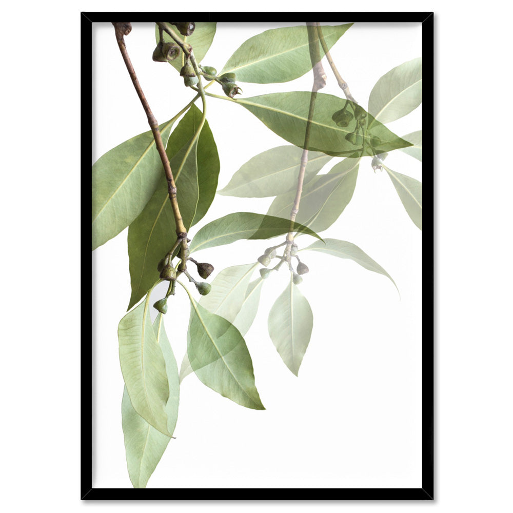 Gumtree Eucalyptus Leaves I - Art Print, Poster, Stretched Canvas, or Framed Wall Art Print, shown in a black frame