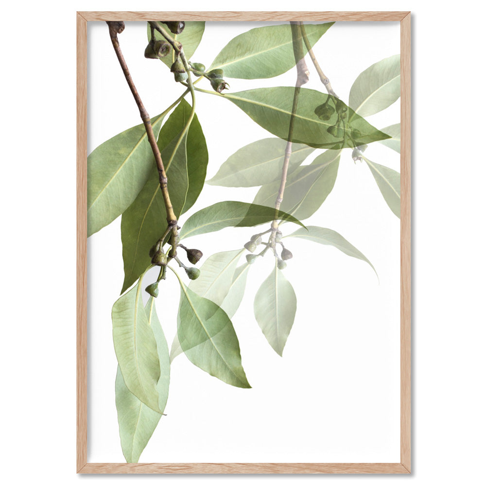 Gumtree Eucalyptus Leaves I - Art Print, Poster, Stretched Canvas, or Framed Wall Art Print, shown in a natural timber frame
