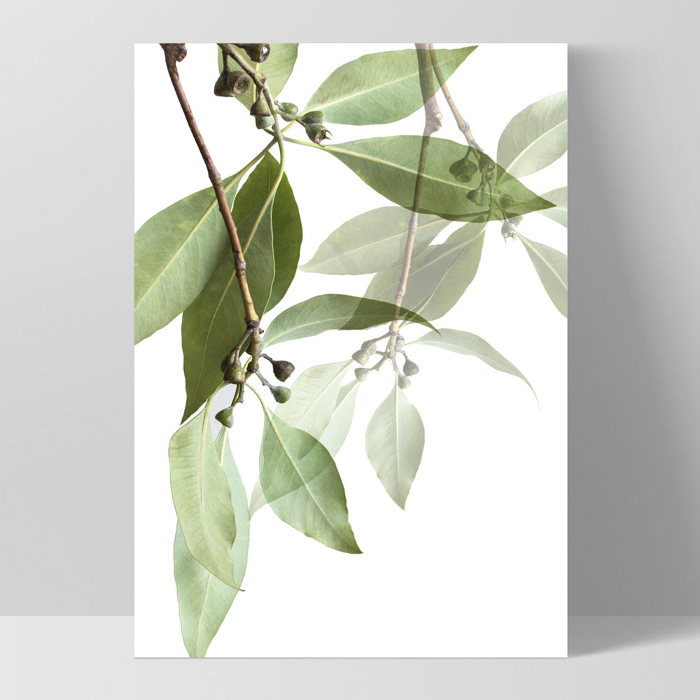 Gumtree Eucalyptus Leaves I - Art Print, Poster, Stretched Canvas, or Framed Wall Art Print, shown as a stretched canvas or poster without a frame