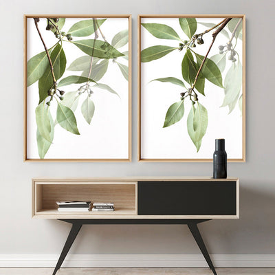 Gumtree Eucalyptus Leaves I - Art Print, Poster, Stretched Canvas or Framed Wall Art, shown framed in a home interior space