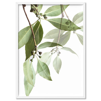 Gumtree Eucalyptus Leaves I - Art Print, Poster, Stretched Canvas, or Framed Wall Art Print, shown in a white frame