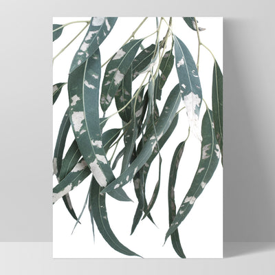 Spotty Gumtree Eucalyptus Leaves I - Art Print, Poster, Stretched Canvas, or Framed Wall Art Print, shown as a stretched canvas or poster without a frame
