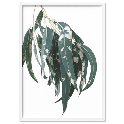 Spotty Gumtree Eucalyptus Leaves II - Art Print, Poster, Stretched Canvas, or Framed Wall Art Print, shown in a white frame