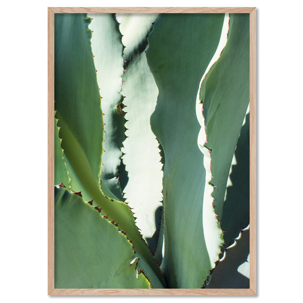 Agave Study I - Art Print, Poster, Stretched Canvas, or Framed Wall Art Print, shown in a natural timber frame